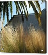 Grass And Palm Acrylic Print