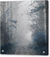 Gray And Navy Foggy Forest Acrylic Print