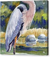 Great Blue Heron In A Stream Ii Acrylic Print