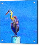 Great Blue Heron On Pier Left Acrylic Print