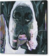 Great Dane Mask- Vinny Acrylic Print