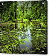 Green Blossoms On Pond Acrylic Print
