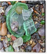 Green Glass And Snail Shell Acrylic Print