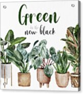 Green Is The New Black Acrylic Print