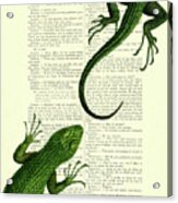 Green Lizards On Antique French Book Page Acrylic Print