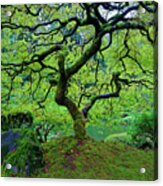 Green With Envy Acrylic Print