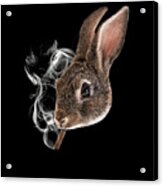 Grumpy Netherland Dwarf Rabbit With Cigar Bad Bunny Print Acrylic Print
