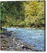 Haast River, South Island, New Zealand Acrylic Print
