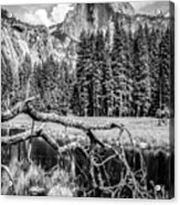 Half Dome - Yosemite Series #1 - Ca, Usa - 2013 4/10 Acrylic Print