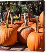 Halloween 260 Acrylic Print