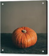 Halloween Pumpkin Still Life. Acrylic Print