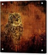 Halloween Spotted Eagle Owl Acrylic Print