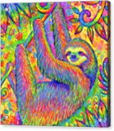 Hanging Around - Psychedelic Sloth Acrylic Print