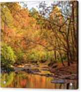 Hanging Dog Creek #3 Acrylic Print