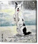 Happy Puppy In The Snow Acrylic Print