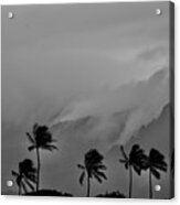 Hawaiian Misty Mountains And Palms Acrylic Print