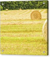 Hay Bales Acrylic Print