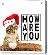 Hay How Are You Christmas Kitty With Black Letters Acrylic Print