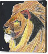 Majestic Lion Pastel Portrait, Hear Me Roar Acrylic Print