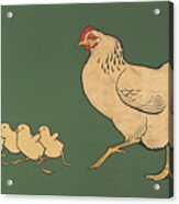 Hen And Chicks 1901 Acrylic Print