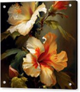 Hibiscus I Acrylic Print