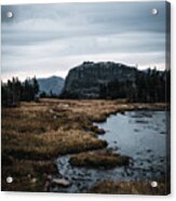 Hidden Puddle Overlook Acrylic Print