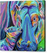 Highlighted Hippos Acrylic Print