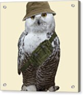 Hiking Owl Acrylic Print