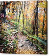 Hiking The Rim At Cloudland Canyon Acrylic Print