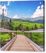 Hiking Trail In Front Of Mount Washington - Panorama Acrylic Print