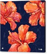 Hilo Hibiscus Acrylic Print