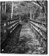 Historic Rail Trail Bridge Creeper Trail Damascus Virginia Black Acrylic Print
