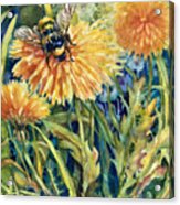 Honey Bee And Dandelion Acrylic Print