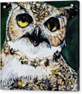 Hoodini The Owl Acrylic Print