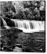 Hooker Fall In Autumn In Black And White Acrylic Print