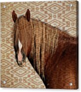 Horse Blanket Acrylic Print