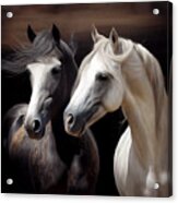 Horse Design Series 1208-a Acrylic Print