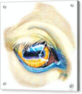 Horse Eye Study Acrylic Print