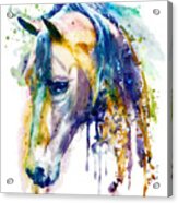 Horse Head Watercolor Acrylic Print