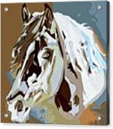 Horse Portrait - Abstract Artwork 10 Acrylic Print