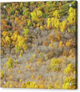 Hudson Valley Autumn Mountain Top Acrylic Print