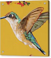 Hummingbird 2021_009 Acrylic Print