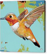 Hummingbird 2021_010 Acrylic Print