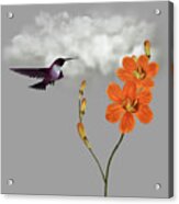 Hummingbird In The Garden Pane 2 Acrylic Print