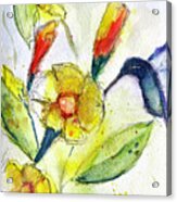 Hummingbird In The Tube Flowers Acrylic Print