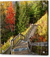 Huron Manistee National Forest In Michigan With Fall Colors Acrylic Print
