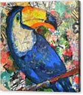 I Can, You Can, Toucan Acrylic Print