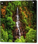 Idaho Springs Waterfall Acrylic Print