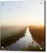 Idyllic Landscape And Flying Geese At Sunrise, Rural Scene Acrylic Print