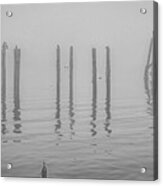 In The Midst Of A Fog Acrylic Print